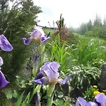 בית אירוח Posrednia - Widok Na Tatry Z Kazdego Pokoju *