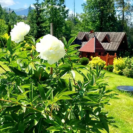 Posrednia - Widok Na Tatry Z Kazdego Pokoju Ζακοπάνε
