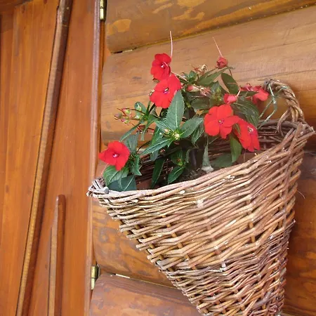 Séjour chez l'habitant Posrednia - Widok Na Tatry Z Kazdego Pokoju *